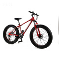 Good supplier bikes with big tires for sale/extreme fat tire bikes/29 inch fat bike